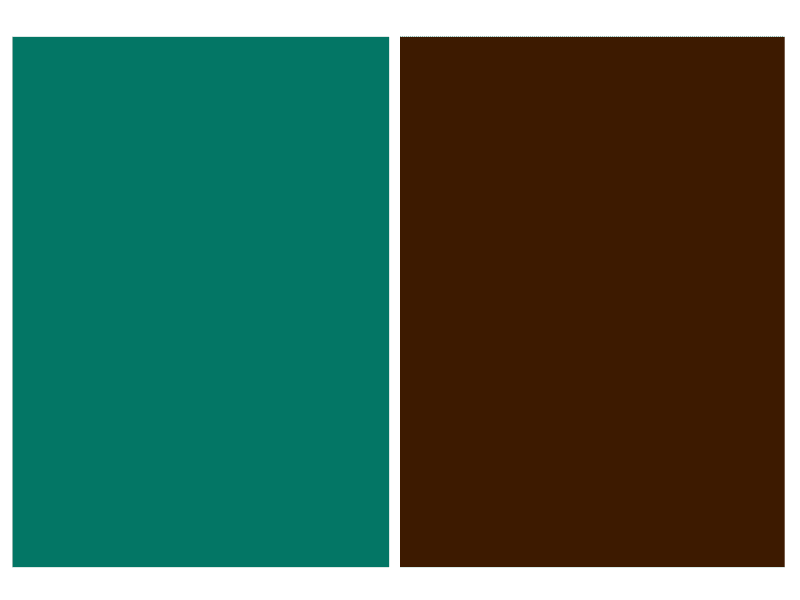 Xanh ngọc bích phối nâu