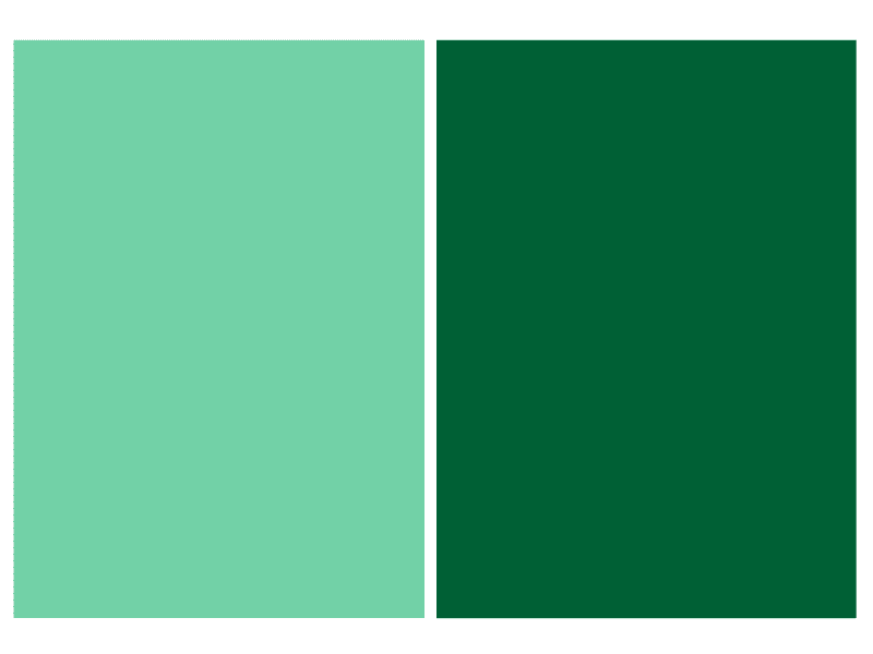 Xanh ngọc bích phối xanh lá