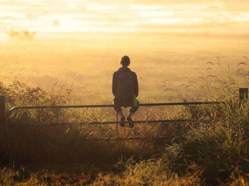 Suy là gì trong nghĩa truyền thống