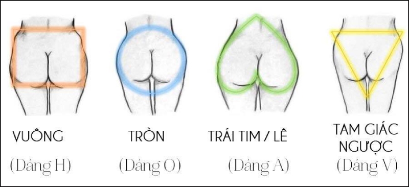 Các dáng mông phụ nữ phổ biến
