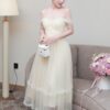Agnes DRESS- Q93C1.74E4